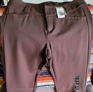 Torrid Studio Dress Pants